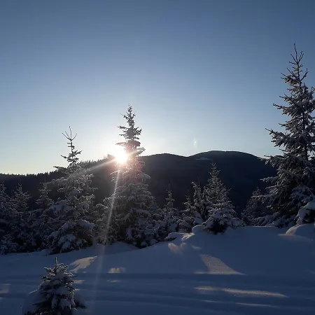 Willa Polonyna Wierchowina