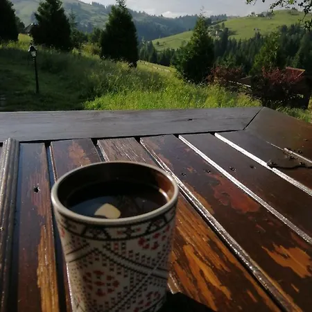 Polonyna Willa Wierchowina