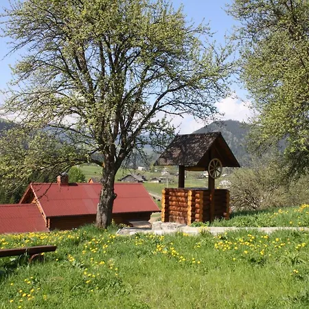Polonyna