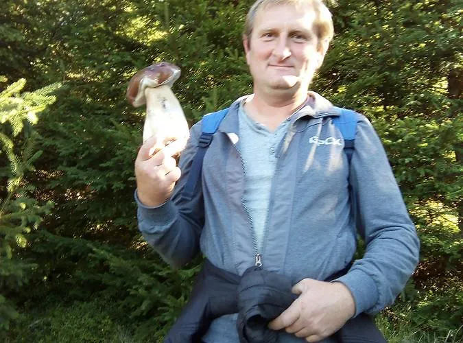 Polonyna Verkhovyna